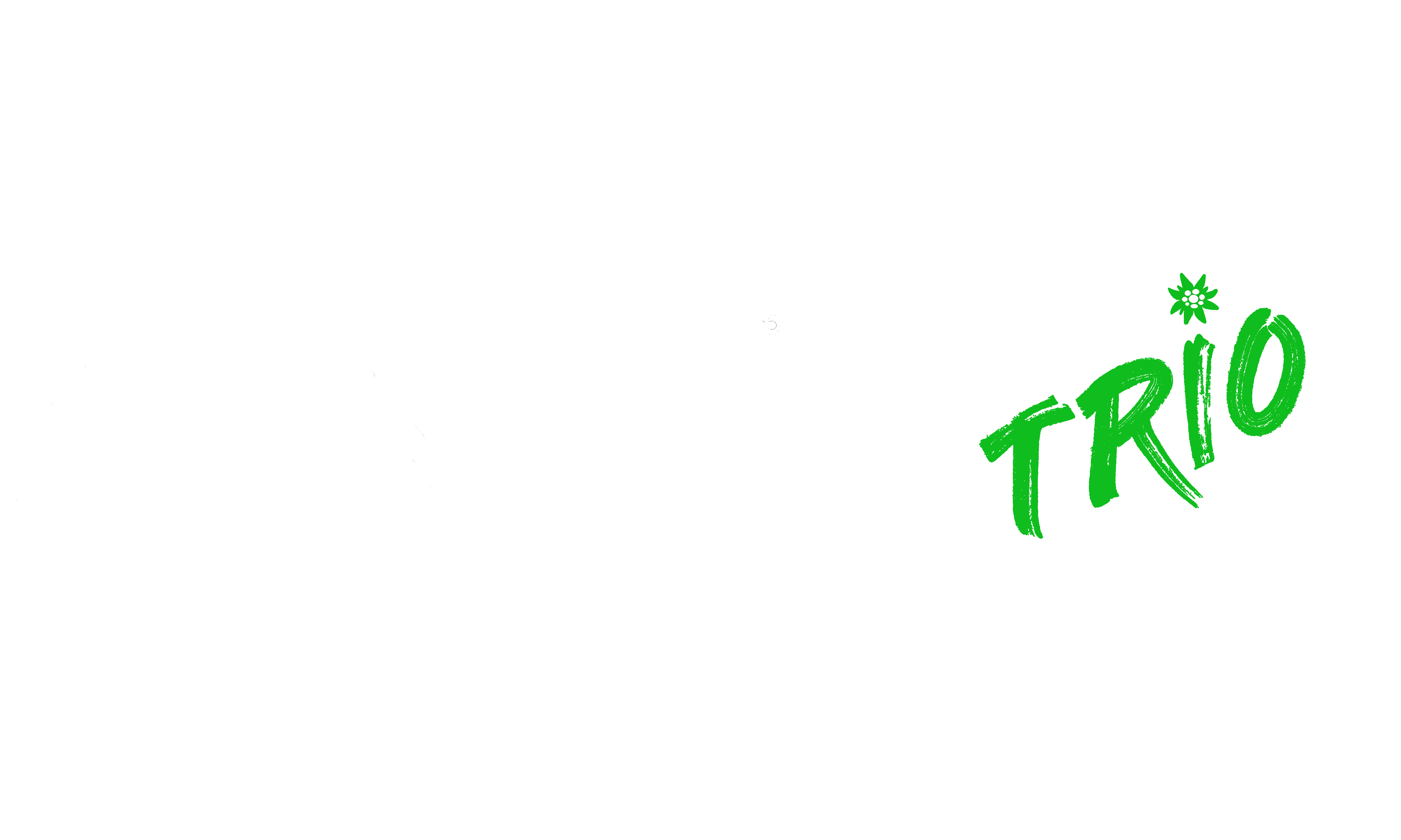 Alpkreiner Trio
